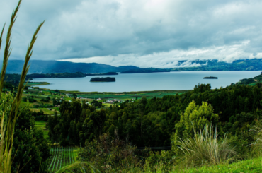 Las ruinas del Estado: Genocidio en Colombia. Revista Noche y Niebla 63