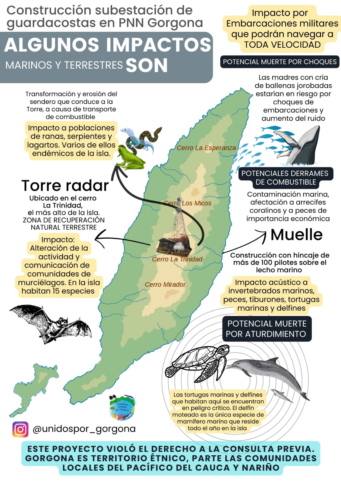 Gráfico de Unidos por Gorgona