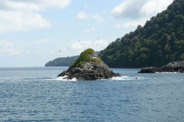 ¿Una “base militar” en la isla Gorgona? Fotografía de El Horno, en Gorgona, tomada de Mateo Gable en Wikipedia Commons