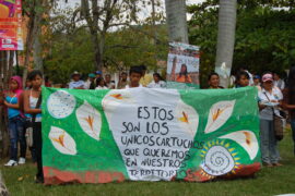 Comunidades piden la paz con el Estado Mayor Central y otros grupos en Cauca