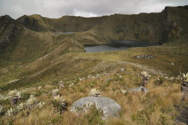 El agua y nuevo orden ambiental minero en Colombia