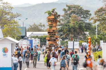 Reflexiones sobre la Convención de Diversidad Biológica