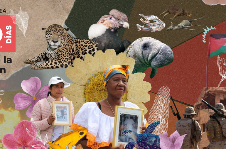 Más allá de la polarización