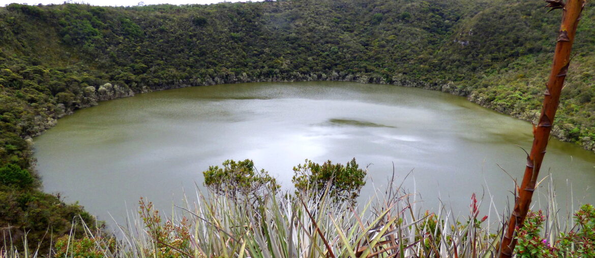 ¡Potencia Mundial de la Alegría … y de la Vida!